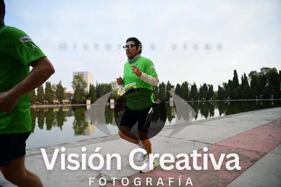 Foto del evento Shrek - CDMX 2026