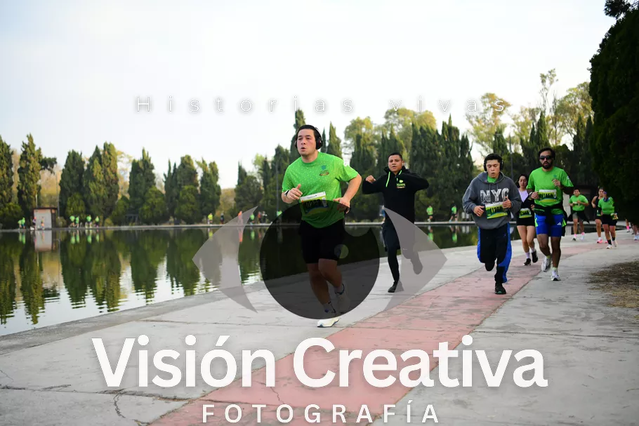 Foto del evento Shrek - CDMX 2026