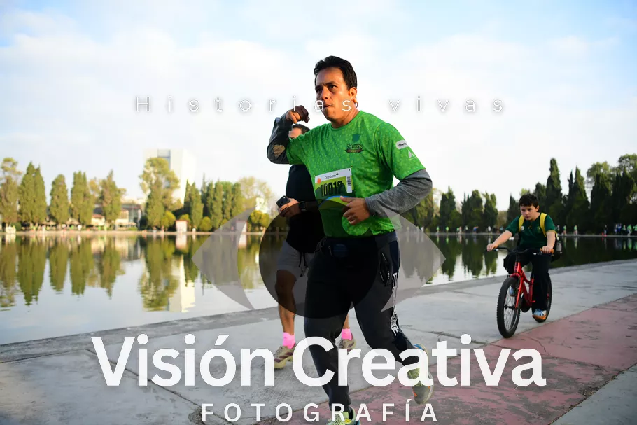 Foto del evento Shrek - CDMX 2026