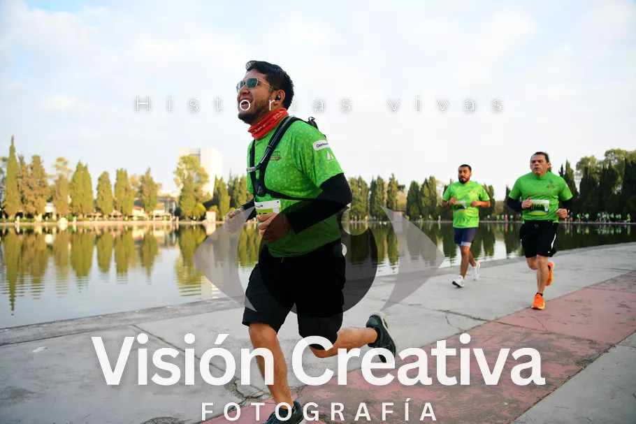 Foto del evento Shrek - CDMX 2026