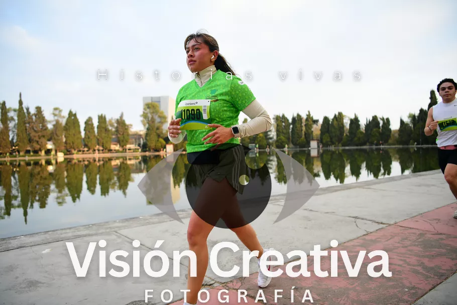 Foto del evento Shrek - CDMX 2026
