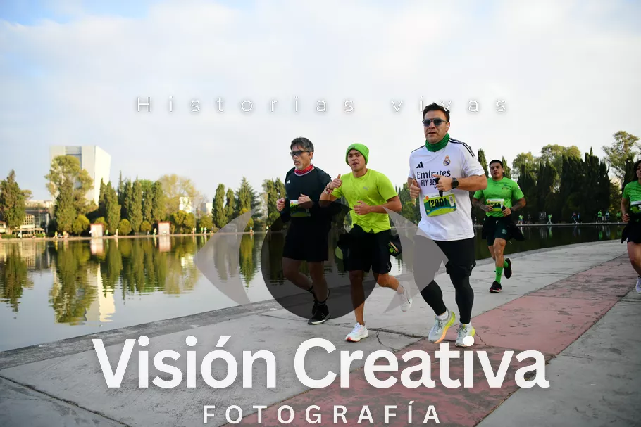 Foto del evento Shrek - CDMX 2026
