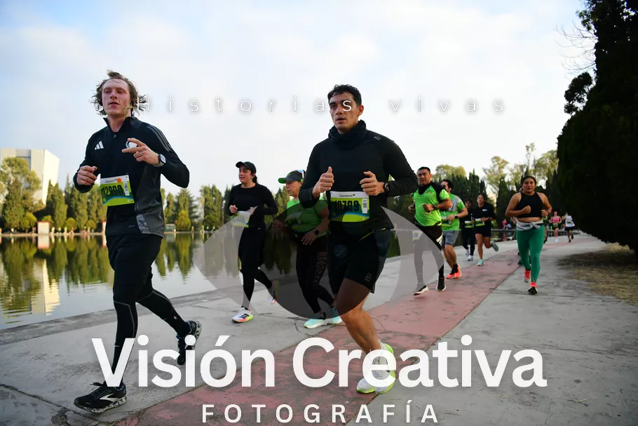 Foto del evento Shrek - CDMX 2026