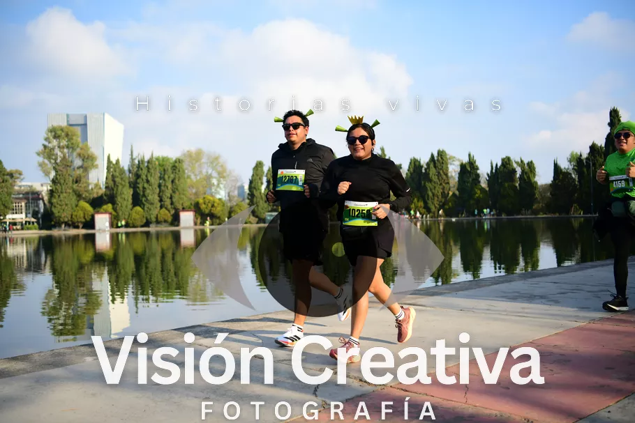 Foto del evento Shrek - CDMX 2026