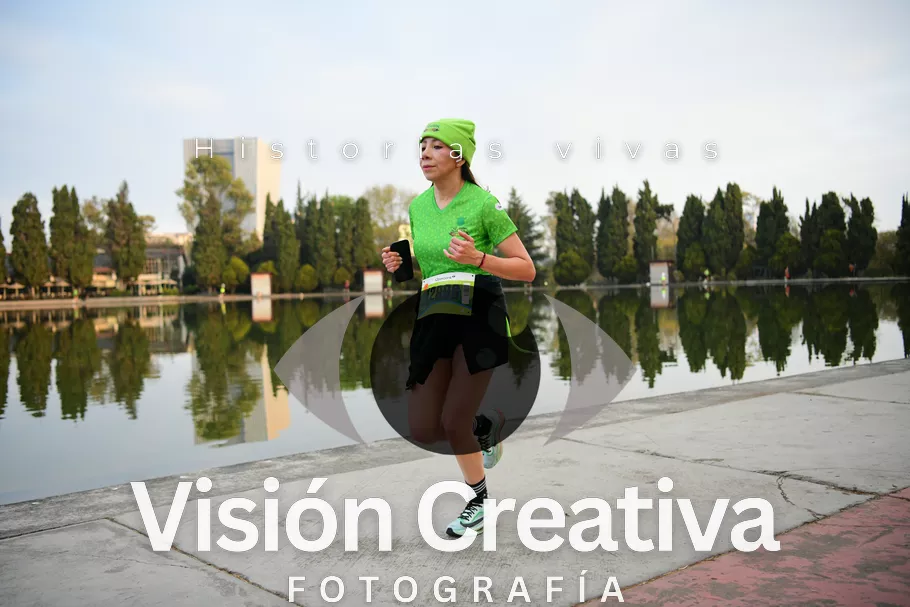 Foto del evento Shrek - CDMX 2026