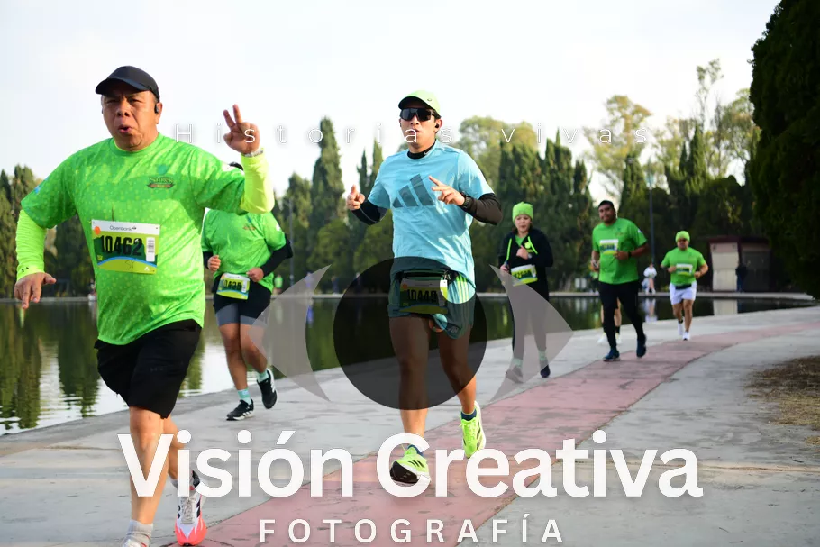 Foto del evento Shrek - CDMX 2026