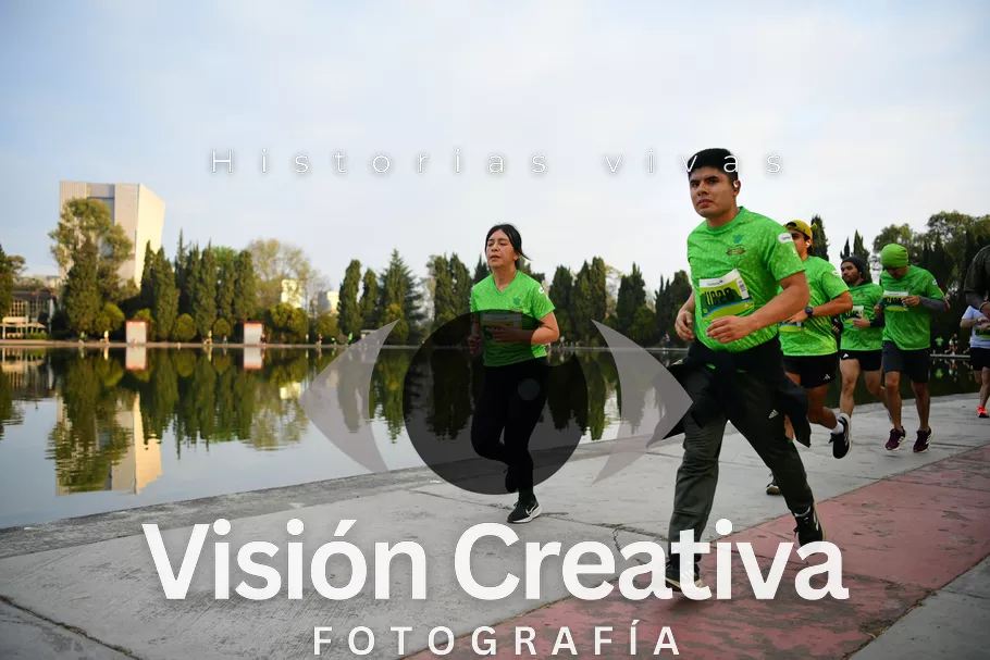 Foto del evento Shrek - CDMX 2026