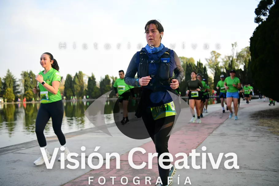 Foto del evento Shrek - CDMX 2026