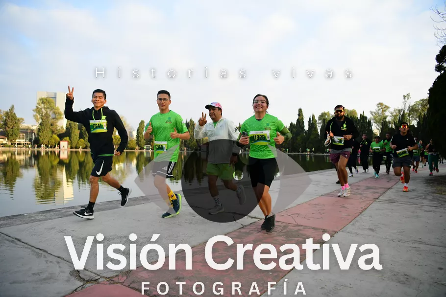 Foto del evento Shrek - CDMX 2026