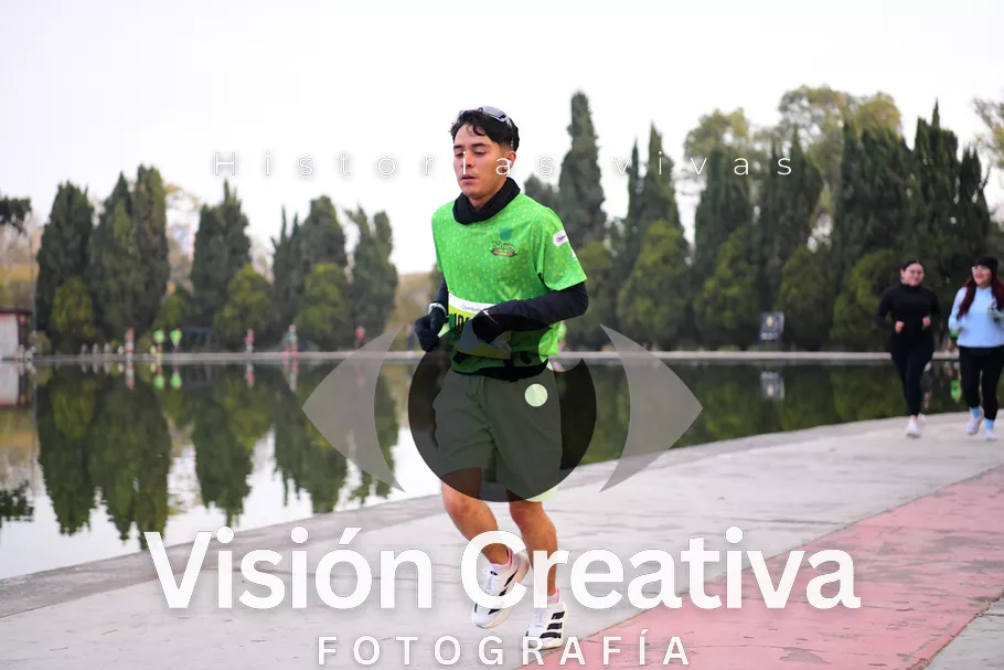 Foto del evento Shrek - CDMX 2026