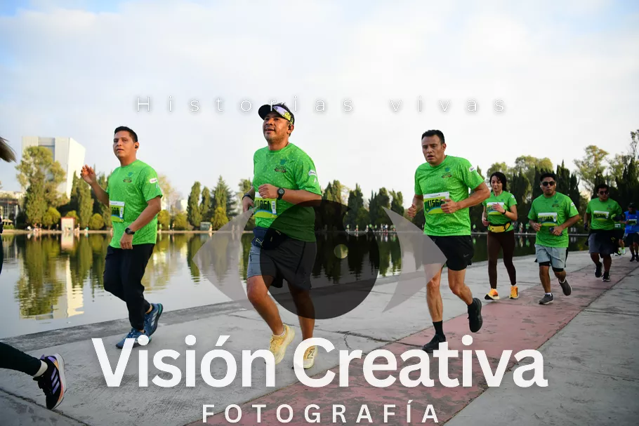 Foto del evento Shrek - CDMX 2026