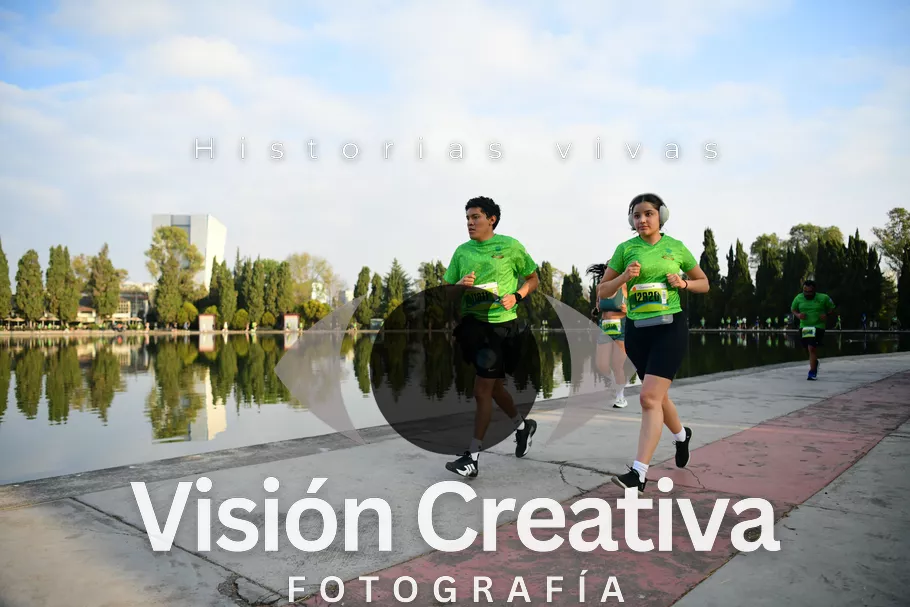 Foto del evento Shrek - CDMX 2026