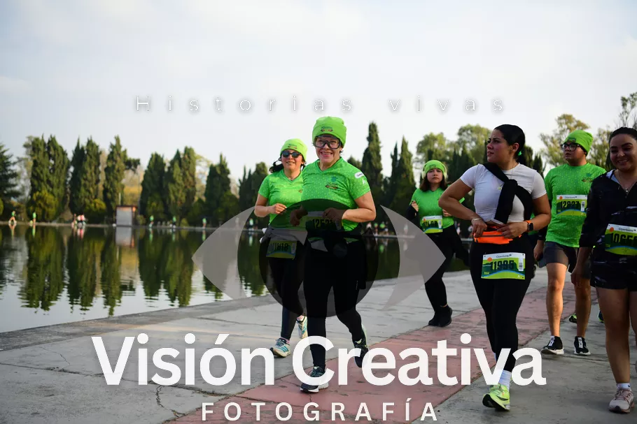 Foto del evento Shrek - CDMX 2026