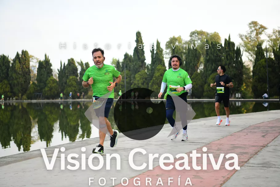 Foto del evento Shrek - CDMX 2026