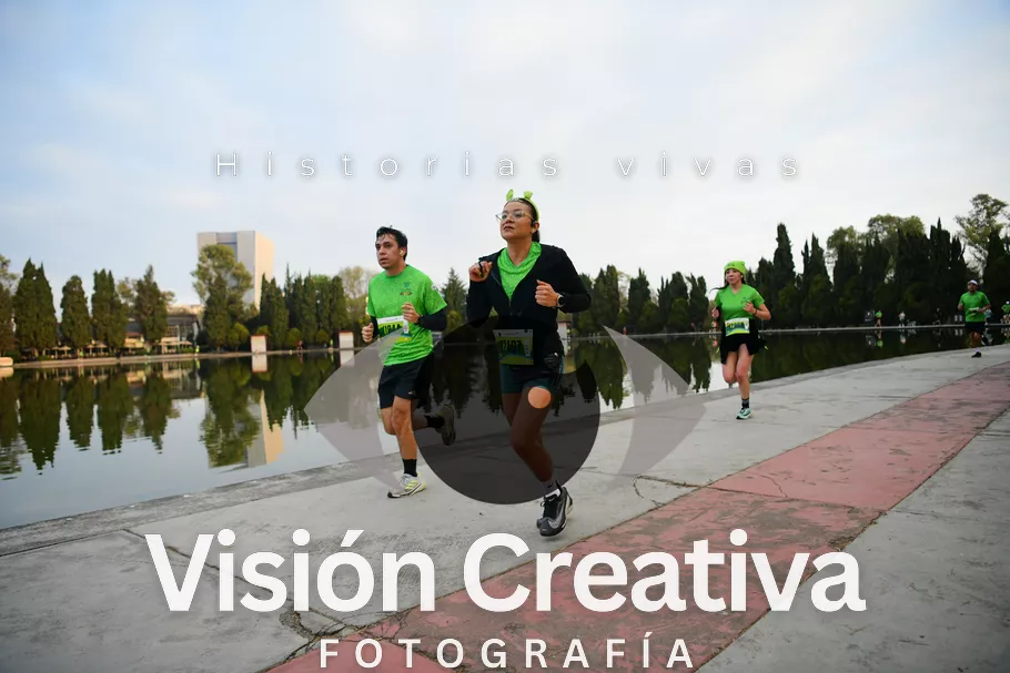Foto del evento Shrek - CDMX 2026