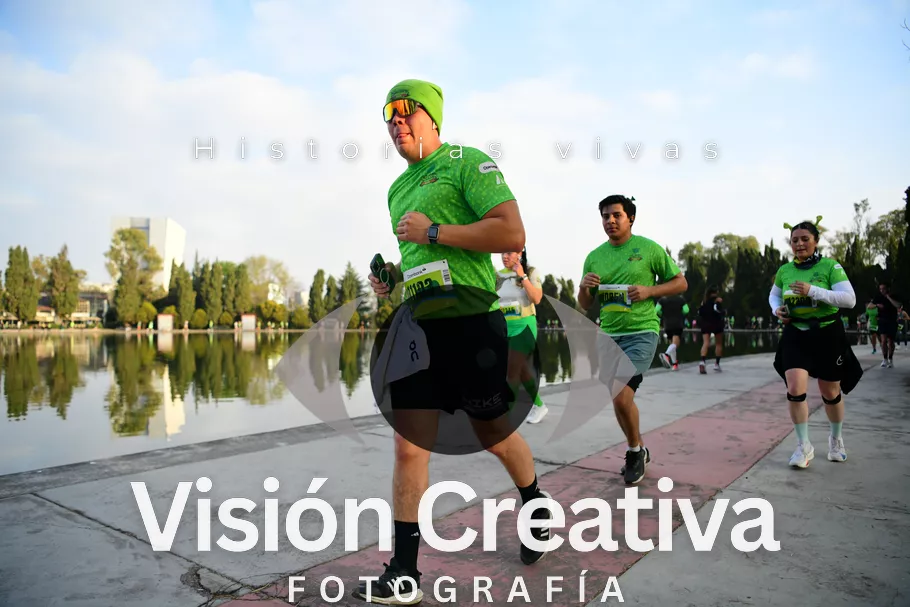 Foto del evento Shrek - CDMX 2026