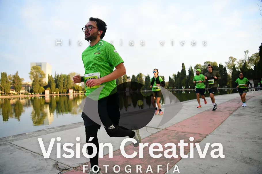 Foto del evento Shrek - CDMX 2026