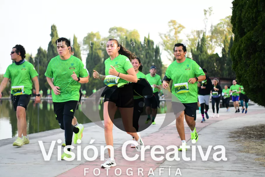 Foto del evento Shrek - CDMX 2026
