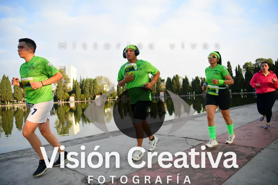 Foto del evento Shrek - CDMX 2026