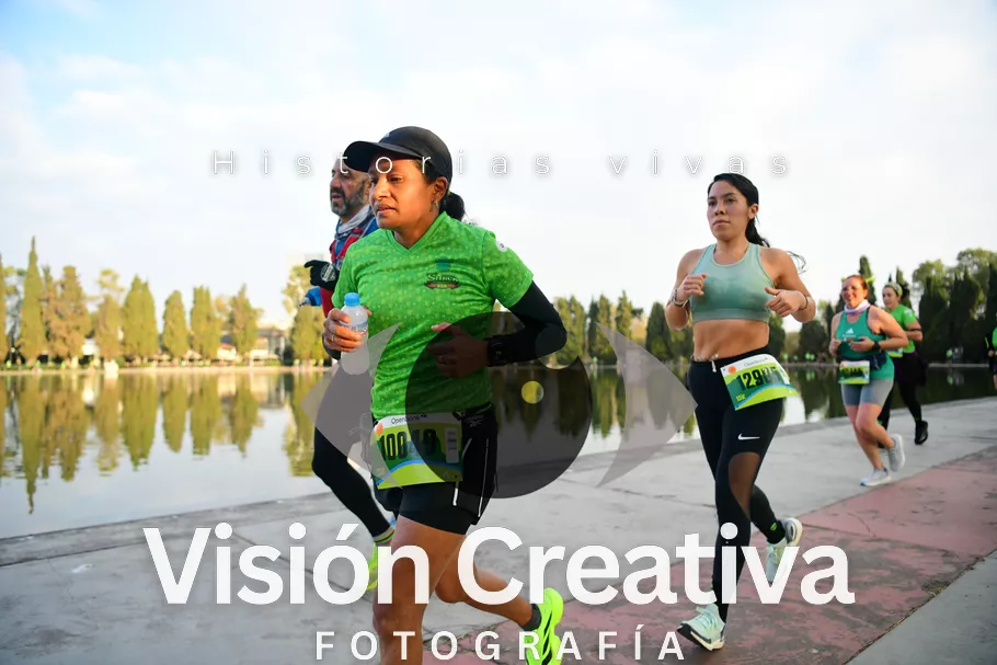 Foto del evento Shrek - CDMX 2026