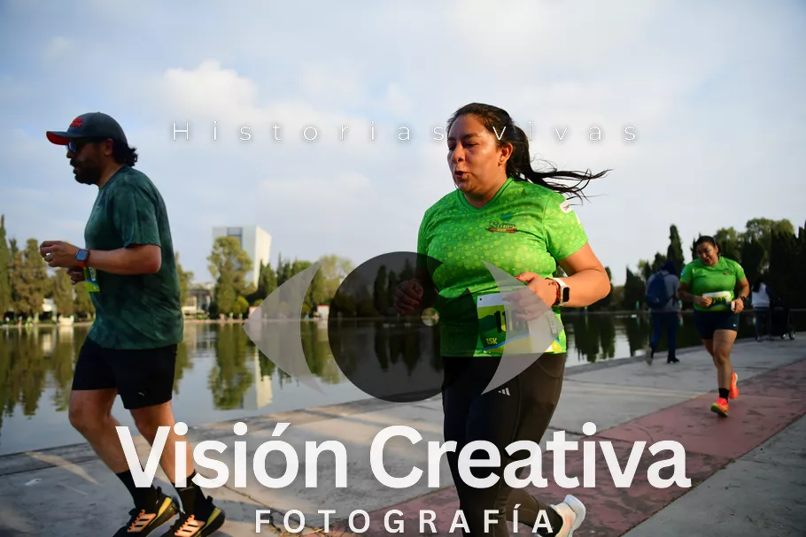 Foto del evento Shrek - CDMX 2026