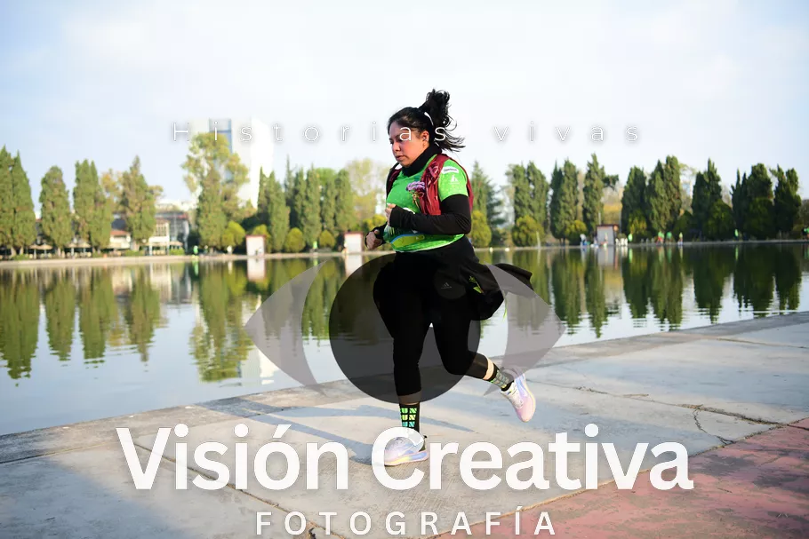 Foto del evento Shrek - CDMX 2026
