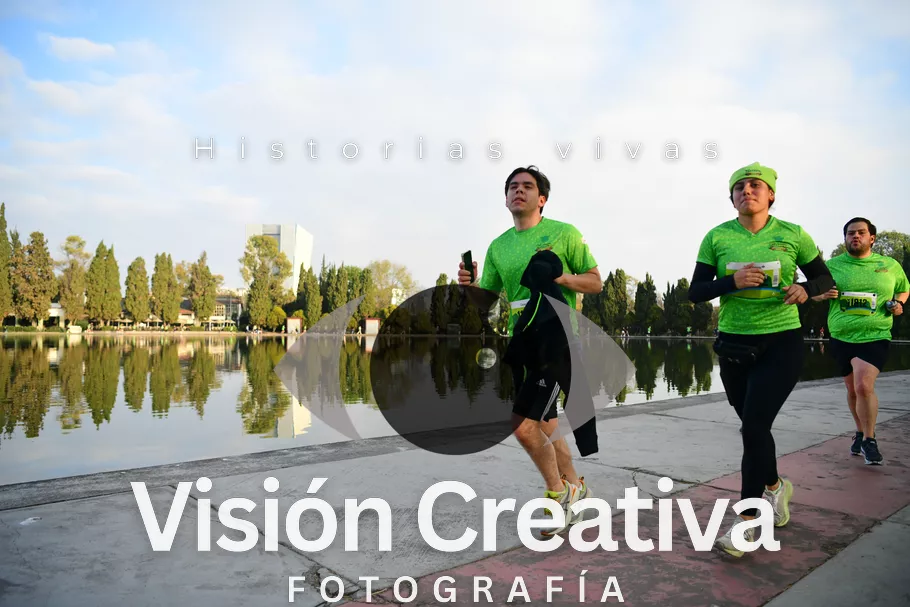 Foto del evento Shrek - CDMX 2026