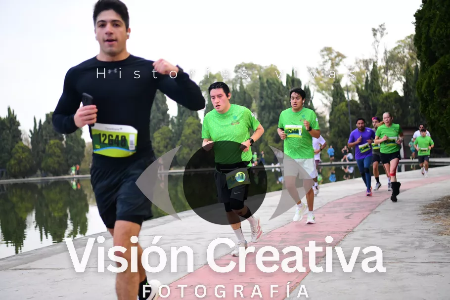 Foto del evento Shrek - CDMX 2026