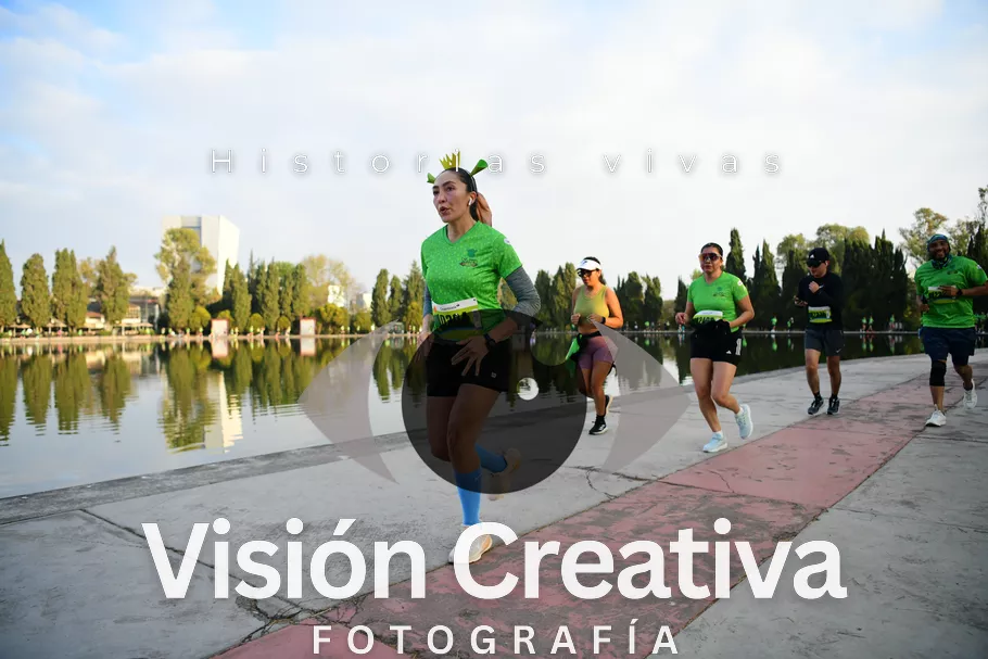 Foto del evento Shrek - CDMX 2026