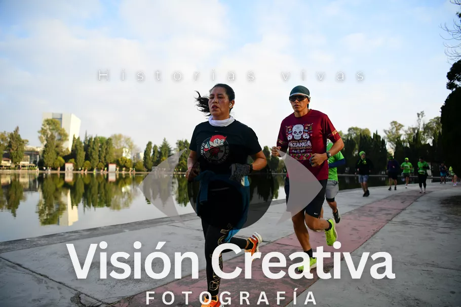 Foto del evento Shrek - CDMX 2026