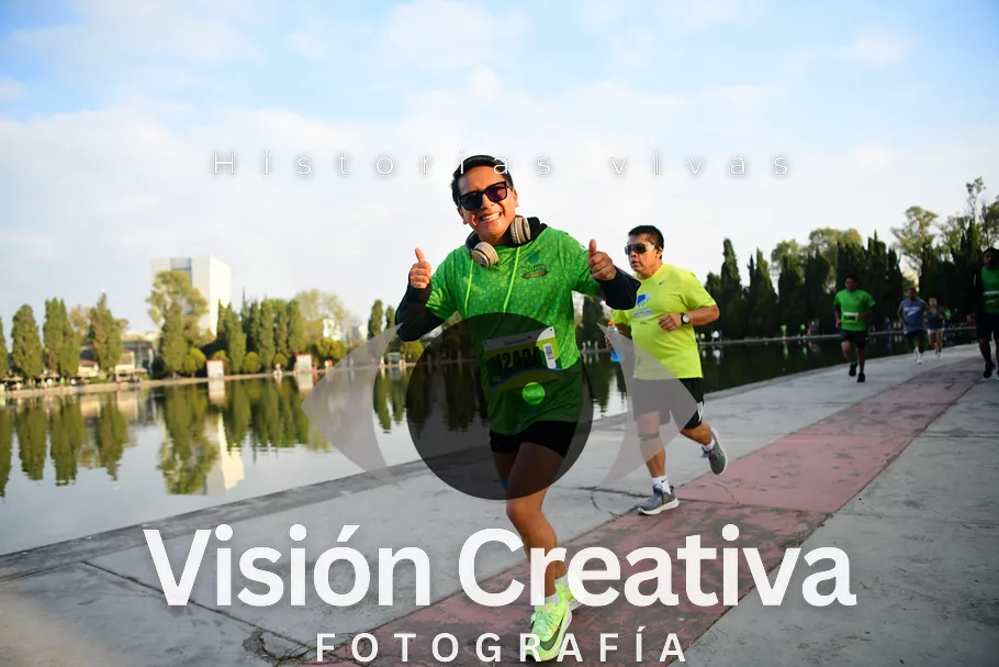 Foto del evento Shrek - CDMX 2026