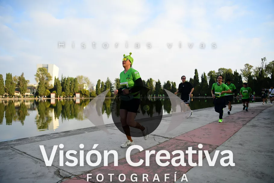 Foto del evento Shrek - CDMX 2026