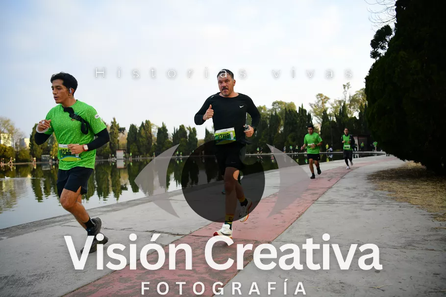 Foto del evento Shrek - CDMX 2026