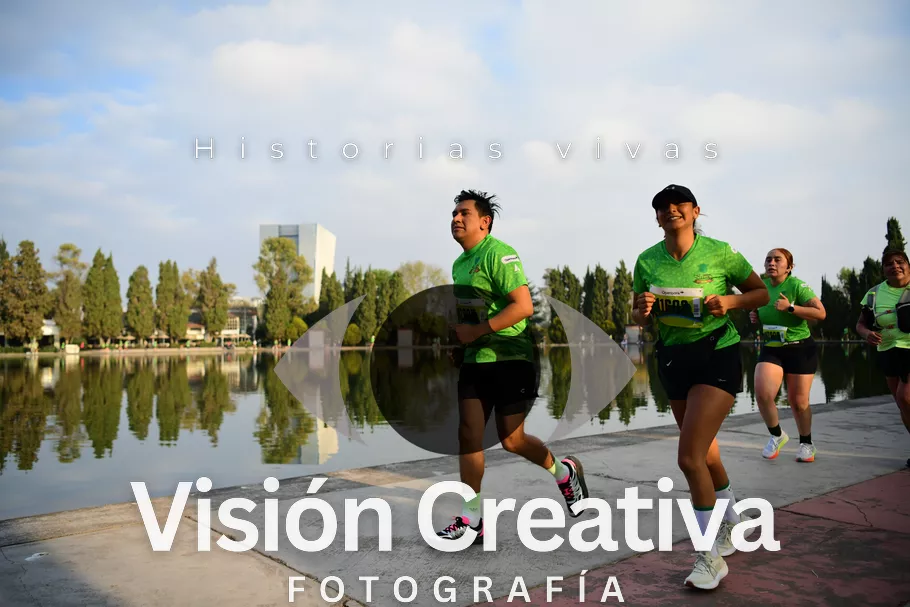 Foto del evento Shrek - CDMX 2026