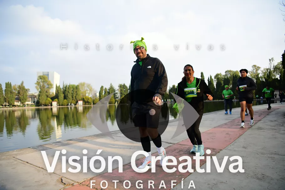 Foto del evento Shrek - CDMX 2026