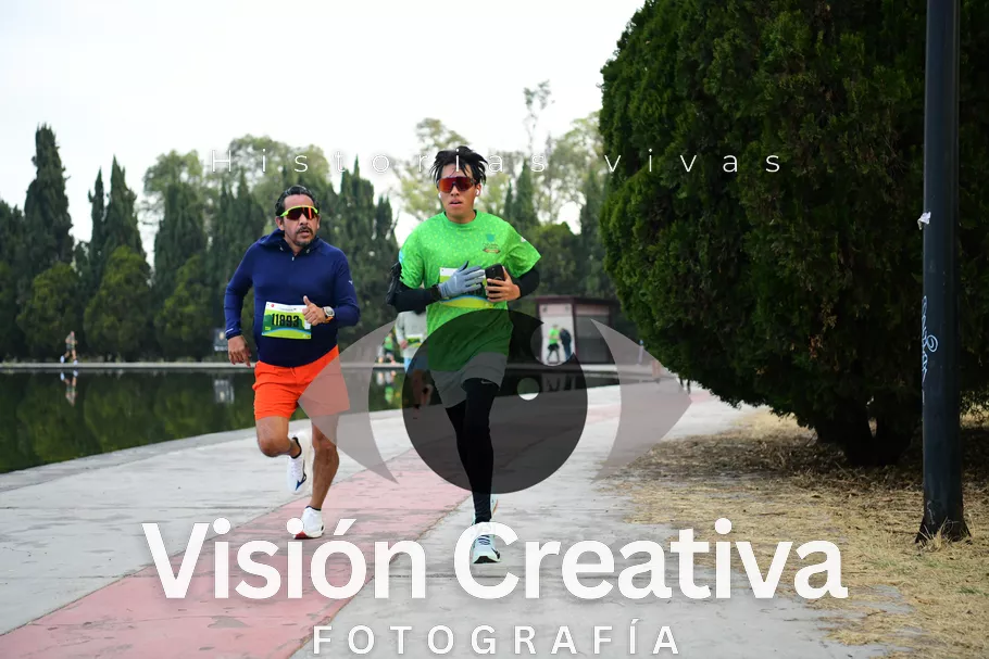Foto del evento Shrek - CDMX 2026