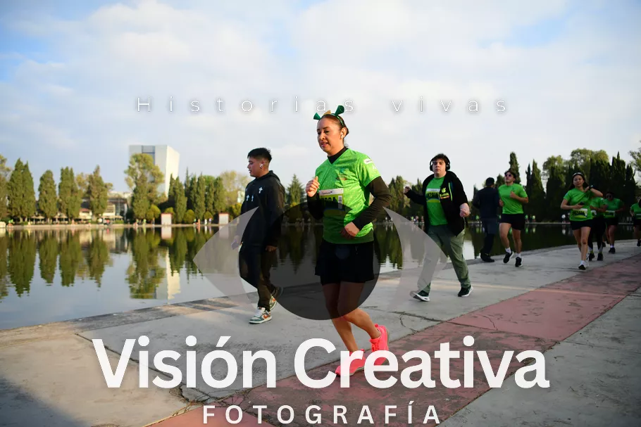 Foto del evento Shrek - CDMX 2026