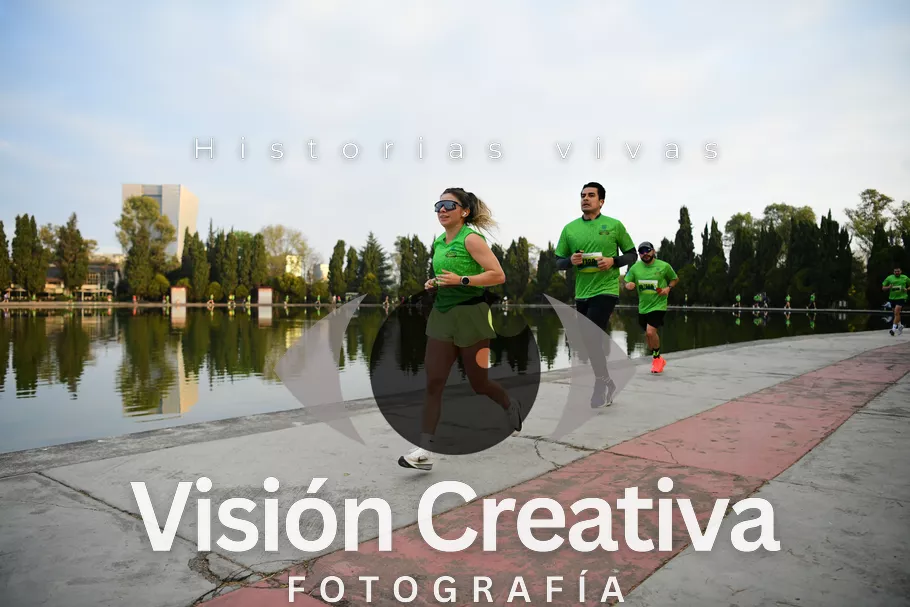 Foto del evento Shrek - CDMX 2026