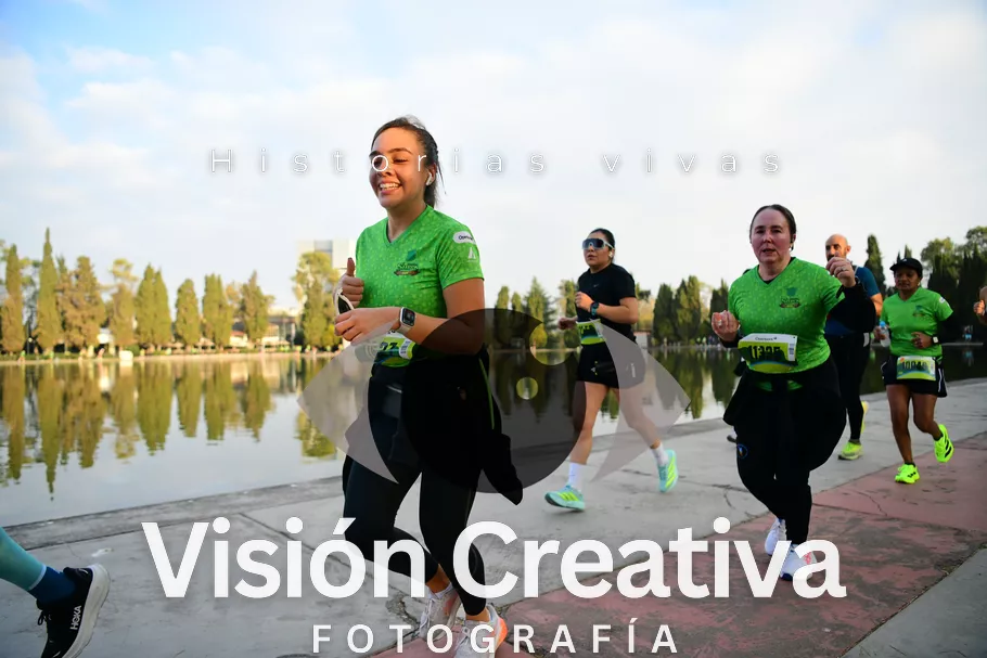 Foto del evento Shrek - CDMX 2026
