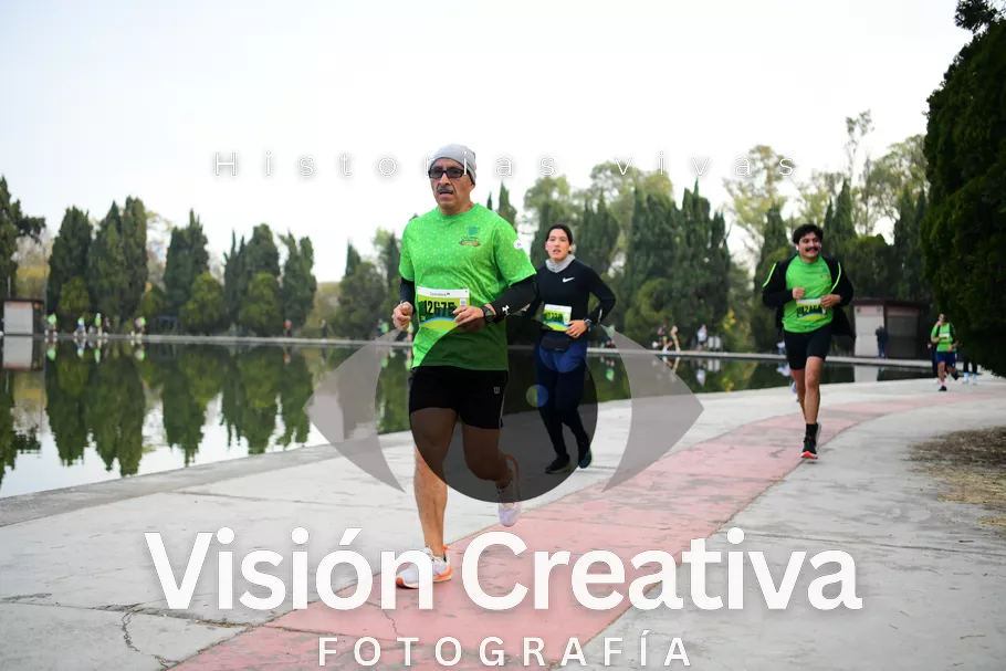 Foto del evento Shrek - CDMX 2026