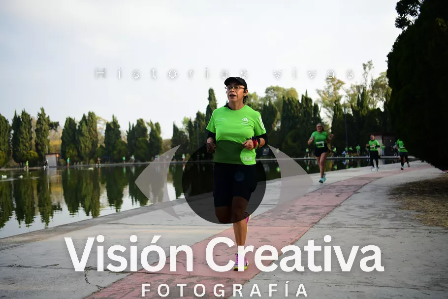 Foto del evento Shrek - CDMX 2026