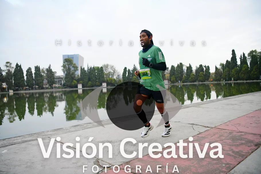 Foto del evento Shrek - CDMX 2026