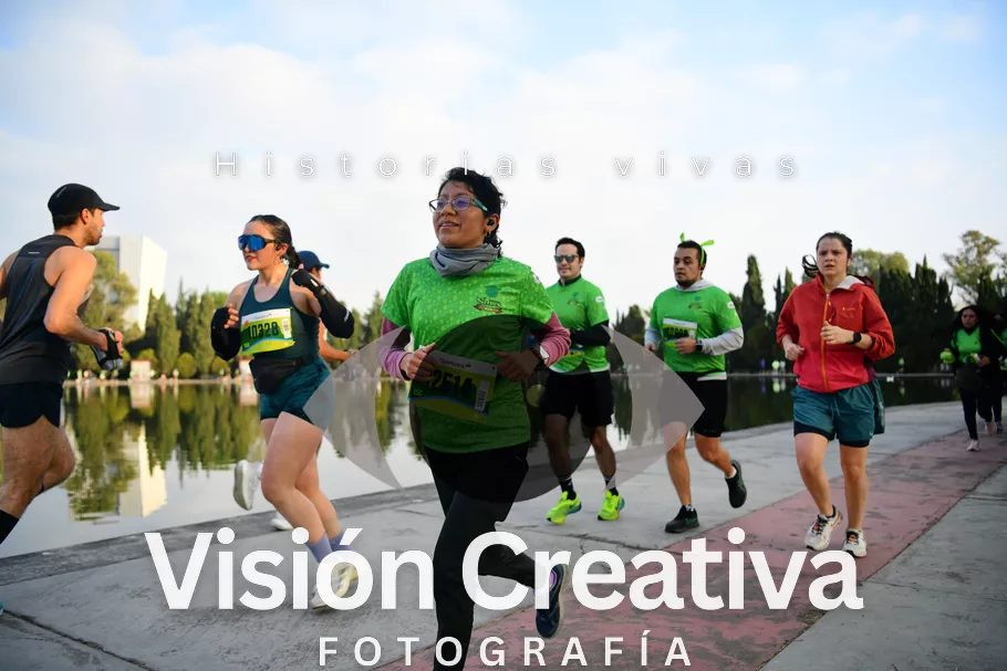 Foto del evento Shrek - CDMX 2026