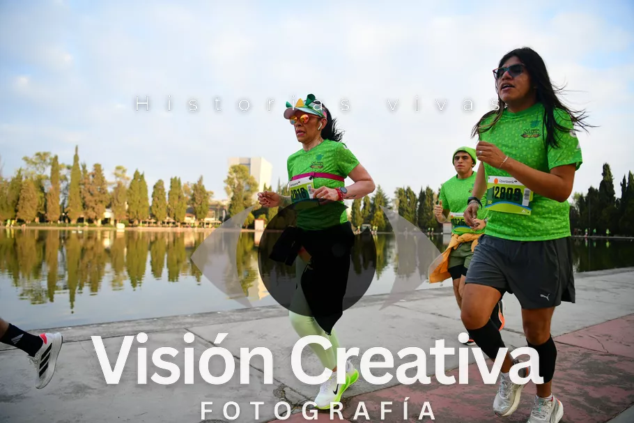 Foto del evento Shrek - CDMX 2026