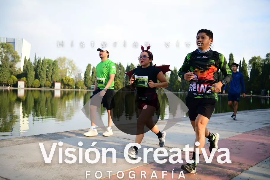 Foto del evento Shrek - CDMX 2026