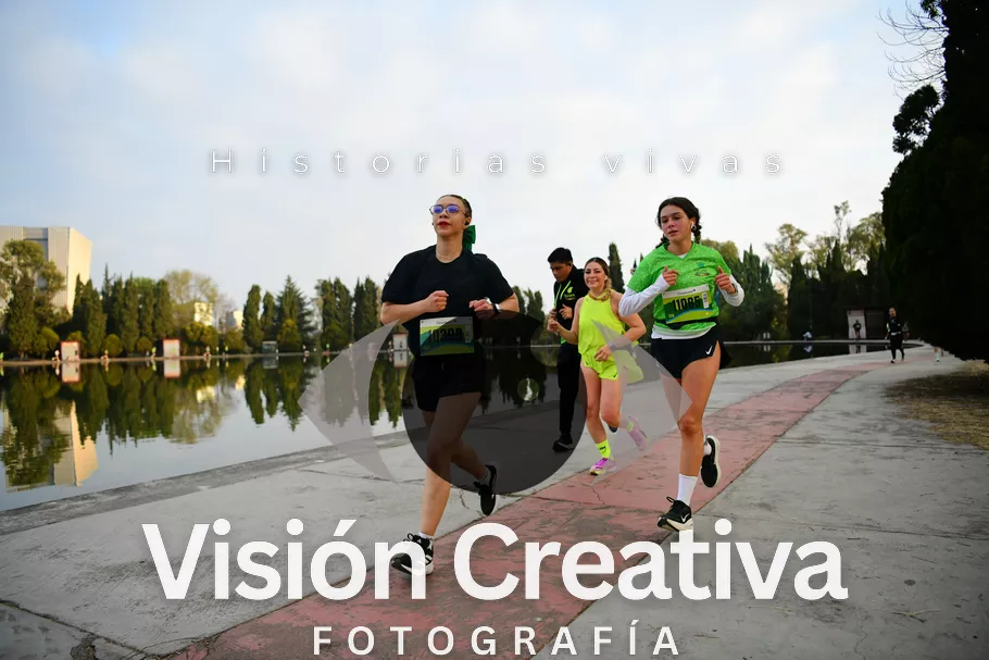 Foto del evento Shrek - CDMX 2026
