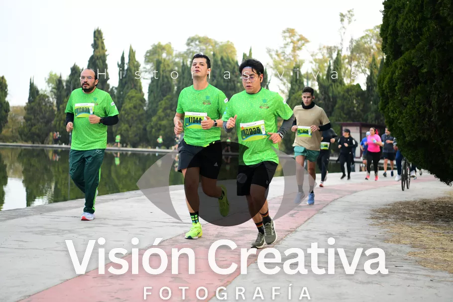 Foto del evento Shrek - CDMX 2026