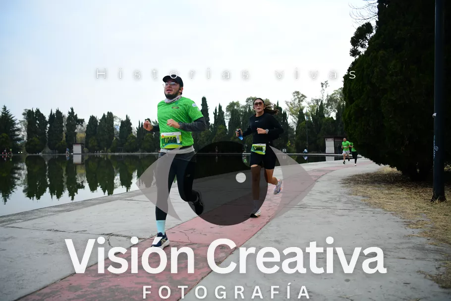 Foto del evento Shrek - CDMX 2026