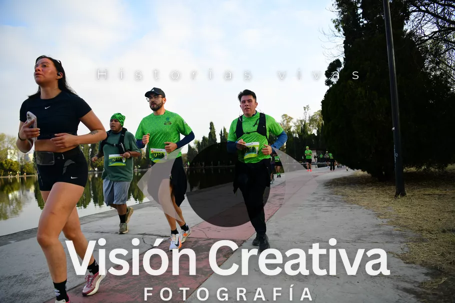 Foto del evento Shrek - CDMX 2026