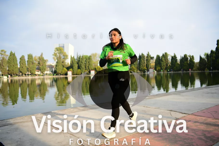 Foto del evento Shrek - CDMX 2026